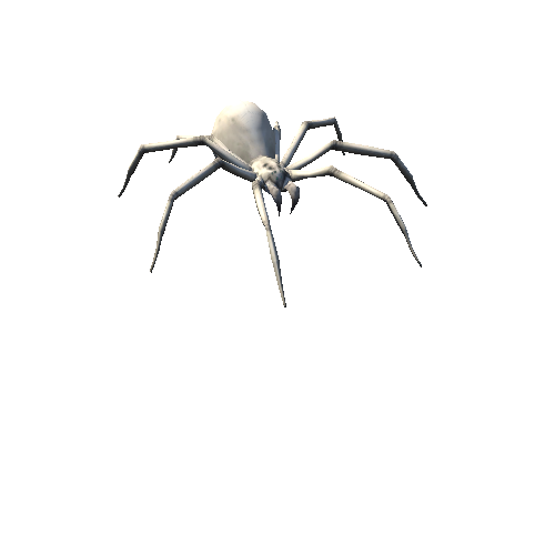spider rgl_03